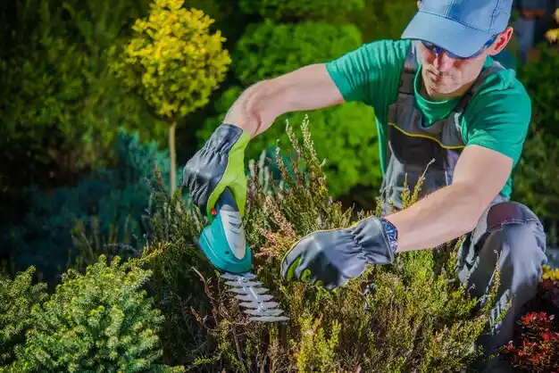 landscaping services Goldonna